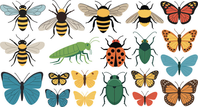 Large set of cute cartoon insect icons featuring colorful butterflies bees beetles ladybug and grasshopper isolated on white background vector elements