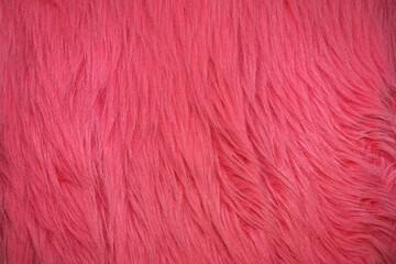 Fototapeta premium Bright pink fur texture covering a surface during daylight hours