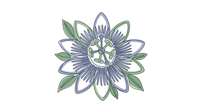 Artistic blue passion flower botanical illustration isolated on white background