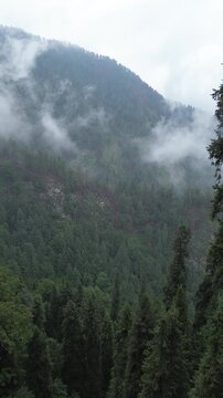 Misty forested mountains and narrow valley in Murree