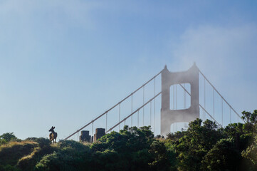 Fototapeta premium Deer on San Francisco Headlands at Dawn