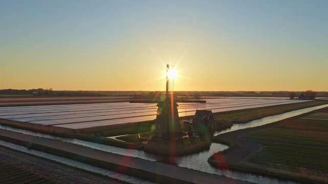 Dutch windmill silhouette in tulip fields at sunrise