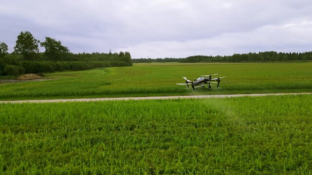 Agricultural spray drone flying over crop field and spraying fertilizer. Smart farming, precision agriculture