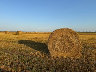 bales of hay © Vlad