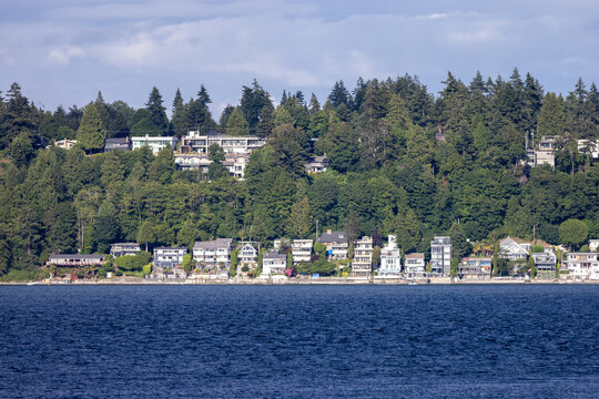 Waterfront Homes On Tree-Covered Hillside Overlooking Calm Ocean In Tsawwassen, British Columbia, Canada