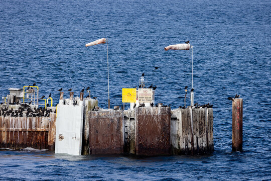 Seabirds Perched on Weathered Pier With No Fishing Sign at Tsawwassen, British Columbia, Canada
