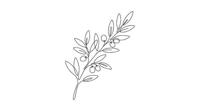 An artistic line drawing of an olive branch with leaves and berries for the concept of Mediterranean and nature.