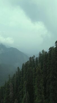 Low clouds over pine covered hills and distant valley