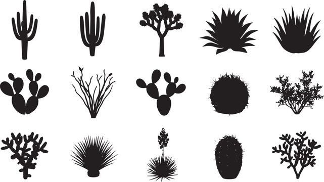 Collection of black silhouettes of desert plants, including cacti, succulents, joshua trees, and agave arranged in a grid