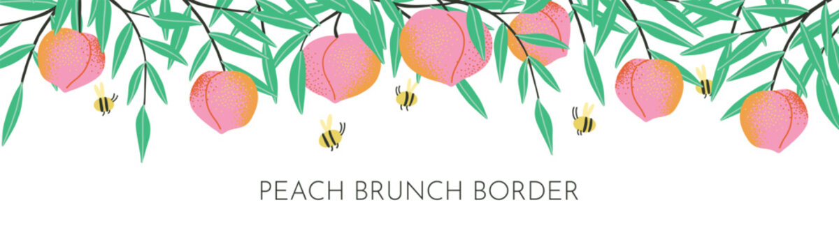 Summer flat style border peach branches and bees. Hand drawn funky style illustration.
