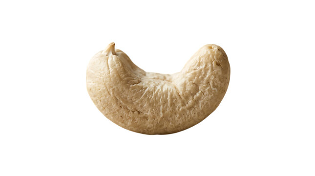 A single raw organic cashew nut with a textured surface isolated for food photography and healthy snack concept