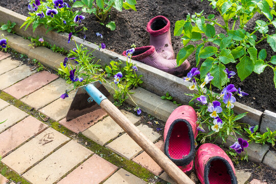 Garden hoe and rubber boots after hilling potato plants in a home vegetable garden