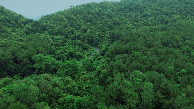 Cargo truck driving on remote road cutting through dense tropical forest