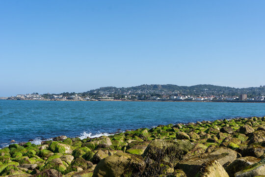 Moss covered rocks along Dublin Bay
