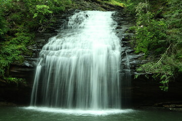 Obraz premium Close-up of Stinging Fork Falls cascading through a lush Tennessee forest