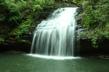 Obraz premium Stinging Fork Falls cascading into a serene forest pool in Tennessee