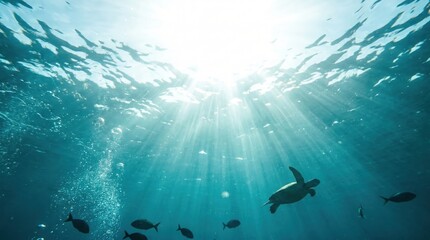 Obraz premium underwater view of sea turtle and fish in clear blue ocean water. bright sun rays shining through surface. marine life nature concept. banner, website header, copy space.