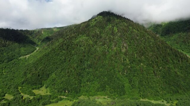 Continuation drone sideways flight over a valley, capturing sun-drenched pine forests on steep slopes and dense white clouds at dawn.