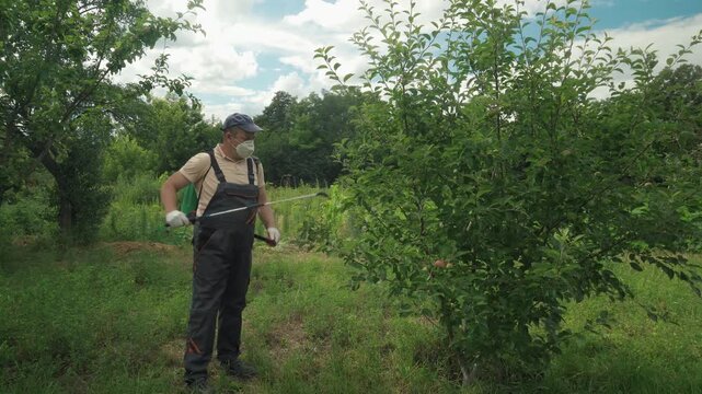 Farmer in protective gear sprays pesticide on fruit tree in a lush garden, showcasing the care for plants and agricultural practices in a rural setting