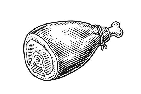 Dured ham hock with bone. Vintage woodcut engraving linocut style vector illustration.