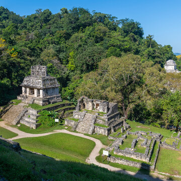 Mayan ruins of Palenque in summer, Chiapas, Mexico.
