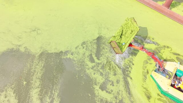 Aquatic Weed Harvester Clearing Green Algae and Vegetation From a Polluted Urban Waterway