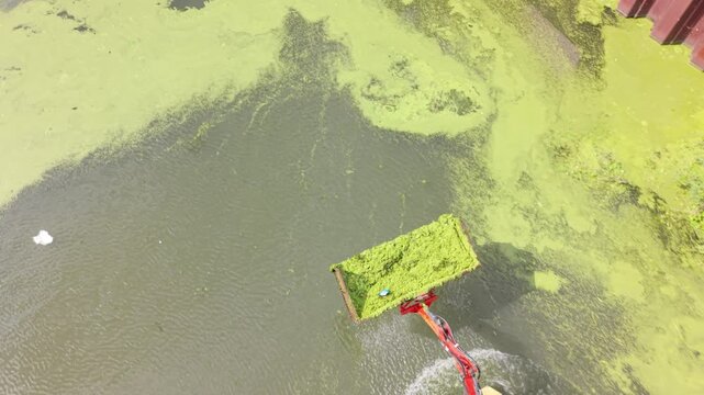 Harvester Clearing Algae and Debris From Urban Canal