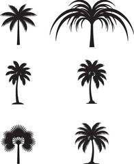 Naklejka premium Set of black palm tree silhouettes showing different tropical plant leaf shapes collection