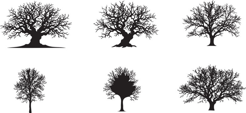 Set of black silhouettes of leafless trees with detailed branches in winter season