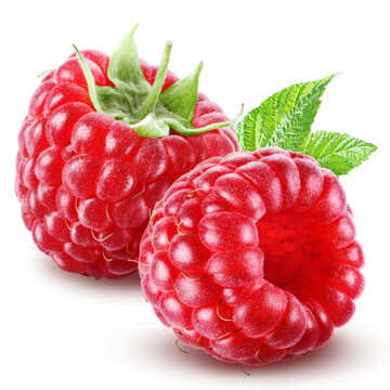 Pair of juicy ripe raspberries with leaves isolated on transparent background.