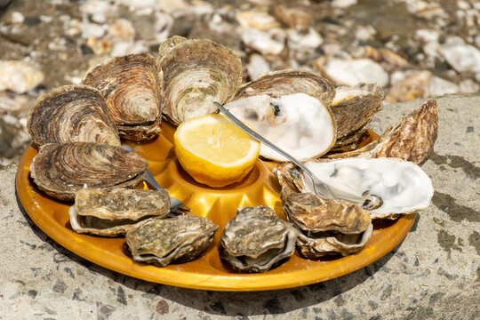 Fresh oysters on plastic plates aready to eat, Brittany fish market stall in coastal village Cancale, famous oysters farms by Atlantic ocean, France