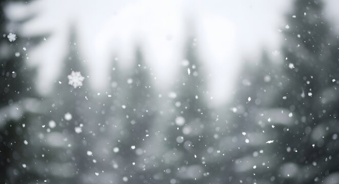 Soft falling snow with blurred winter forest bokeh background