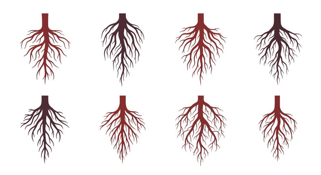 Set of Tree Roots, Plant System, Organic Growth, Nature Elements