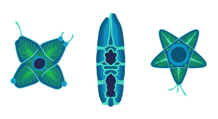 Naklejka premium Abstract Blue Green Microscopic Organisms, Cells, or Plankton Shapes