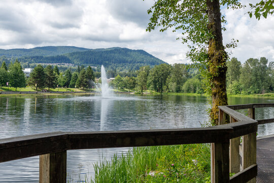 A view across Lafarge Lake in Coquitlam to the fountain and forested mountains, framed by a rustic wooden railing and a moss-covered tree trunk in the foreground.