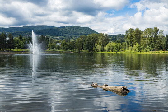 Two turtles bask on a floating log in the foreground of Lafarge Lake in Coquitlam, the park fountain spraying beyond with forested mountains under a cloudy summer sky.
