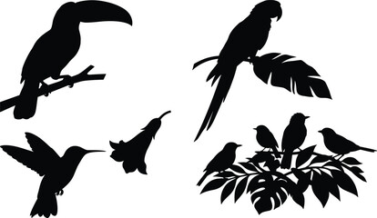 Tropical bird silhouettes including a toucan, macaw parrot, hummingbird, and small birds on exotic leaves © RANIBALA