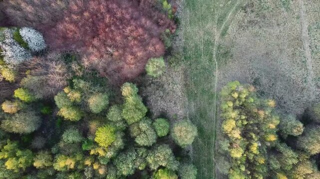 Flying over a path between two small patches of trees in late summer in Northern Europe