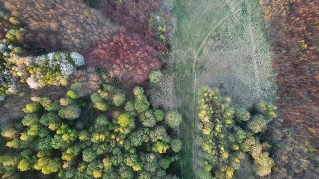 Flying over a path between two small patches of trees in late summer in Northern Europe