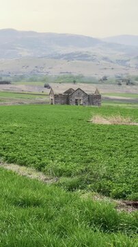 Historic stone ruins in lush green field, serene countryside landscape.