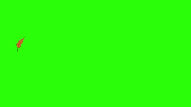 animated video on a green screen, leaves flying from right to left with moderate quantity