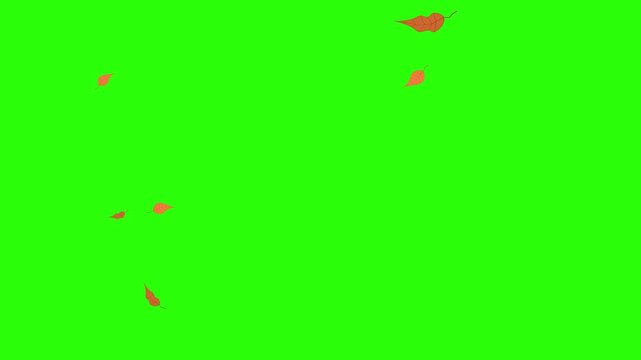 animated video on a green screen, leaves flying from right to left with moderate quantity