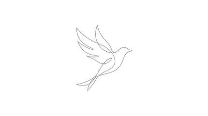 Fototapeta premium Minimalist continuous line drawing of a flying bird with spread wings