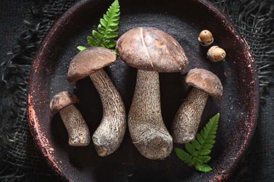 Wild and edible mushrooms straight from forest.