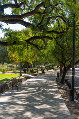 Obraz premium path in the park