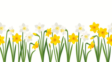 Fototapeta premium Seamless border of blooming yellow and white daffodil flowers with green stems on white background