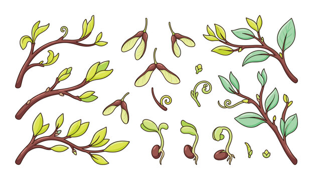 Hand drawn spring branches, budding leaves and germinating seeds