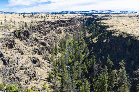 Over millennia Mill Creek has carved a 230-foot deep canyon on the Central Oregon plateau between Bend and Portland. This beautiful area of high desert is part of the Warm Springs reservation.
