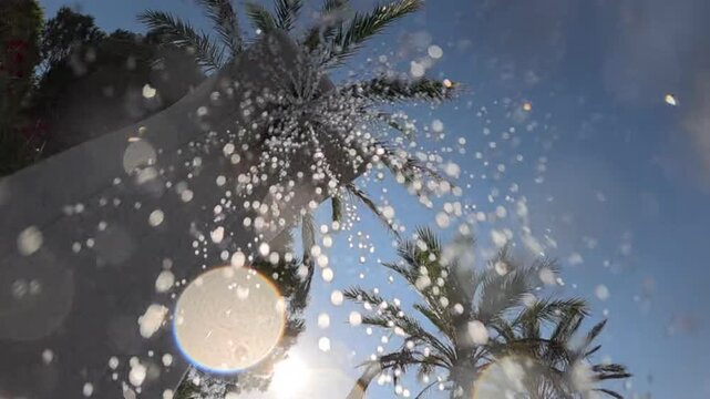 Underwater view looking up at splashing water and bright summer sun filtering through palm trees from a swimming pool