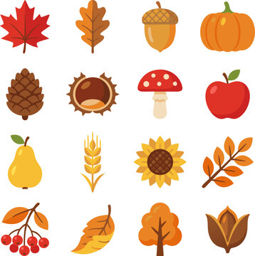 Autumn season element vector icon set. Collection of thanksgiving and fall nature objects including maple leaf, pumpkin, acorn, pinecone, and harvest fruits isolated on white background. 